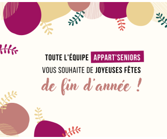 Joyeuses fêtes ! 