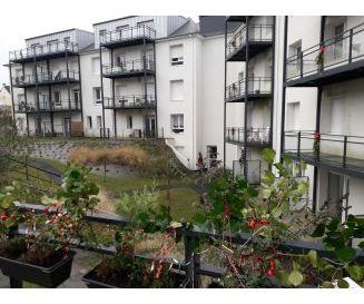 Noël à Fougères ! 